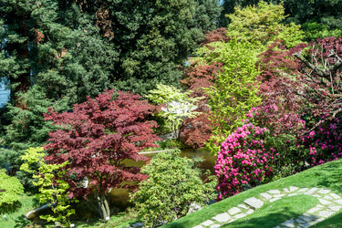 Similar image 20195689