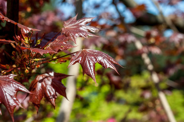 Similar image 20195690