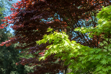 Similar image 20195693