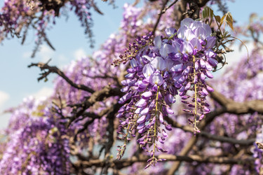 Similar image 20195718