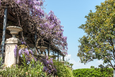 Similar image 20195722