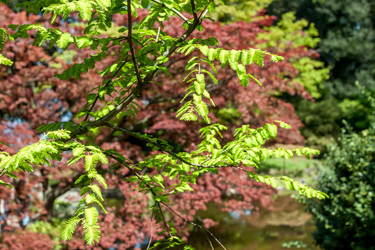 Similar image 20195697