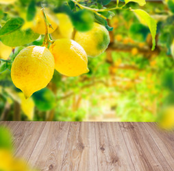 Similar image 20298501