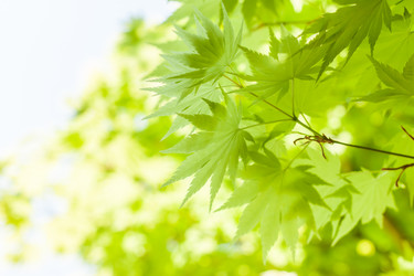 Similar image 20195748