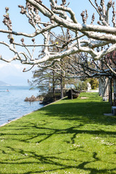 Similar image 20195758