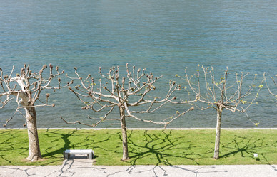 Similar image 20195768