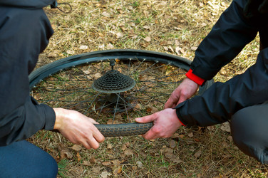 Similar image 20231417