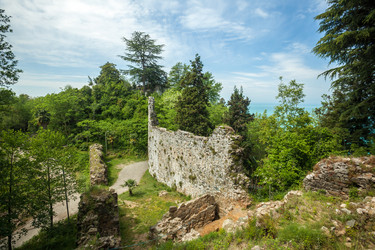 Similar image 20297030