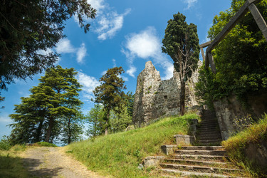 Similar image 20297052