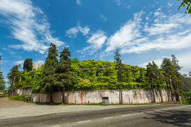 Similar image 20297073