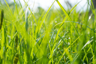 Similar image 20298048