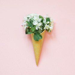 Similar image 20231441