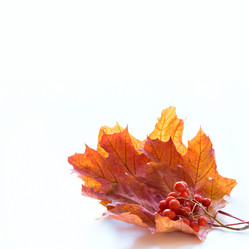 Similar image 20231479