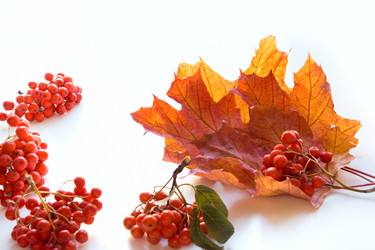 Similar image 20231484