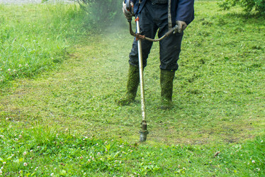 Similar image 20297255