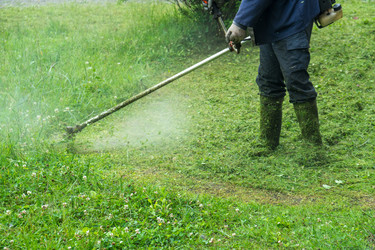 Similar image 20297277