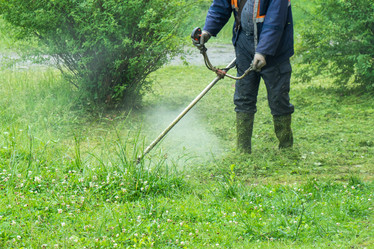 Similar image 20297293