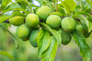 Similar image 20298019