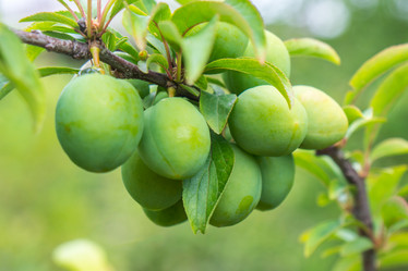 Similar image 20298021