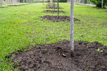 Similar image 20297259