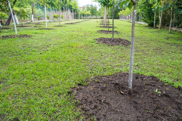 Similar image 20297260