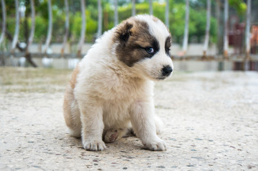 Similar image 20297262