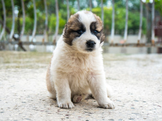 Similar image 20297267