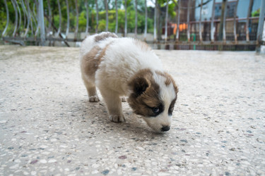 Similar image 20297275