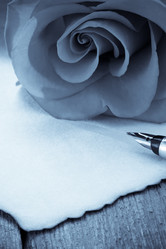 Similar image 20230437