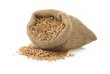 Similar image 20229016