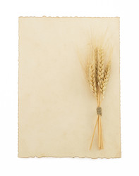 Similar image 20229058