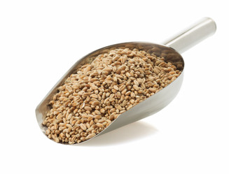 Similar image 20229059