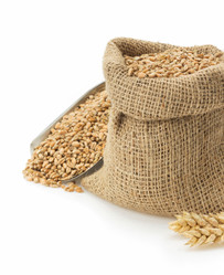 Similar image 20229093