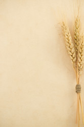 Similar image 20229229