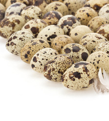 Similar image 20229993