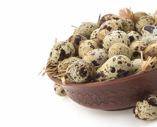 Similar image 20230014