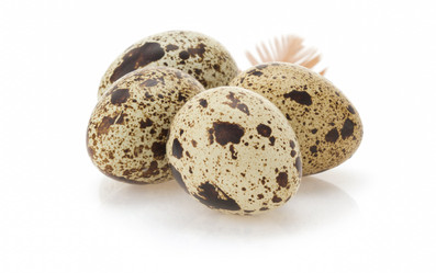 Similar image 20230016