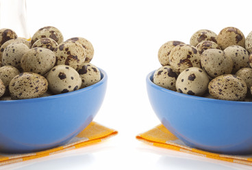 Similar image 20230098