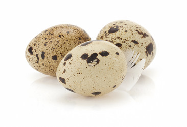 Similar image 20230134