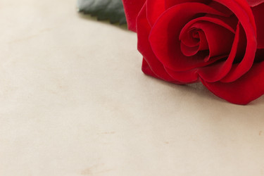 Similar image 20230209