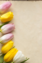 Similar image 20230240