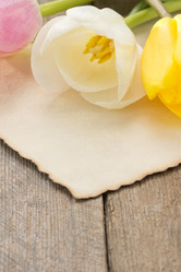 Similar image 20230255