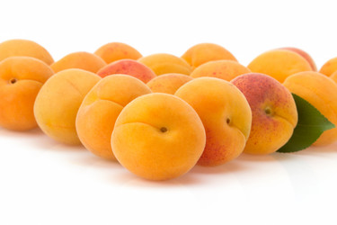 Similar image 20230655