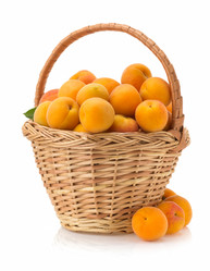 Similar image 20230657