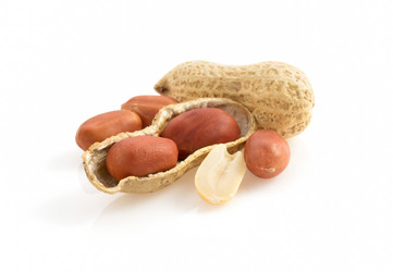 Similar image 20229635