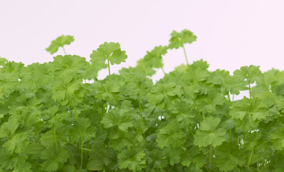 Similar image 20230059