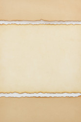 Similar image 20230421