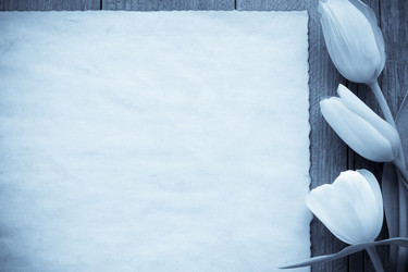 Similar image 20230816