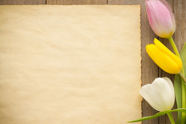 Similar image 20230831