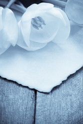 Similar image 20230833